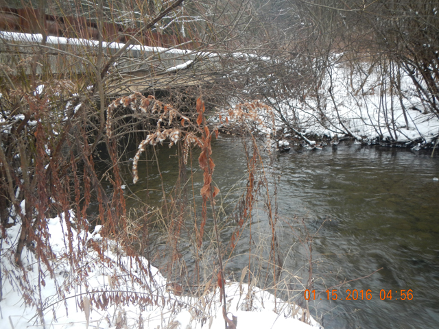 DSCN1578.jpg -                                