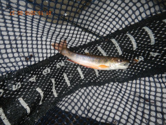 DSCN1582.jpg -                                