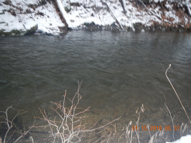 DSCN1583.jpg -                                