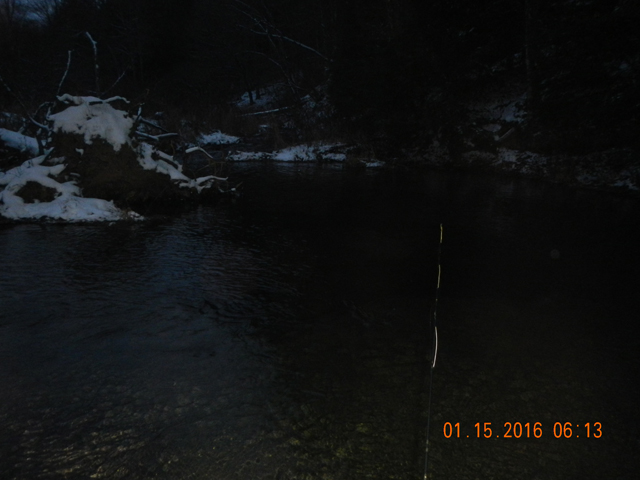 DSCN1593.jpg -                                
