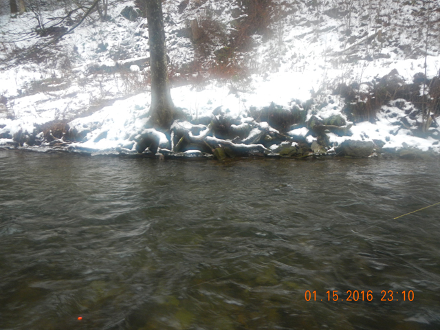 DSCN1596.jpg -                                