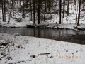 DSCN0809