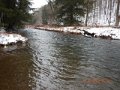 DSCN0829