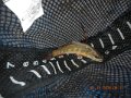 DSCN1579