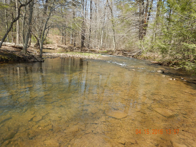 DSCN1088.jpg -                                
