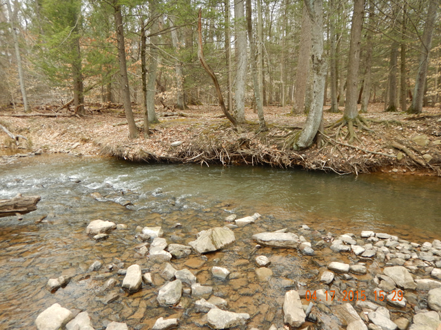 DSCN0263.jpg -                                This was a nice hole but, alas, no fish bit here.