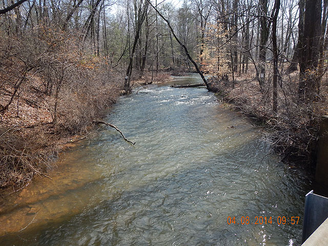 DSCN0445.jpg -                                The stream was higher than normal and off color due to recent rain