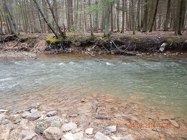 DSCN0450.jpg -                                Here's where that one came from.  Fast, deep water.  Water temps at this time were about 55.6 degrees.  Fish should have been more active except for the front that just came through.
