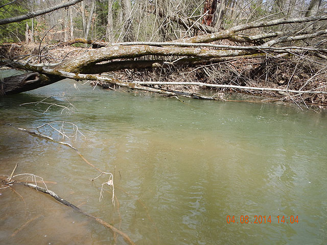DSCN0453.jpg -                                We got three fish from this hole and left.  I suspect there are many more in this hole.
