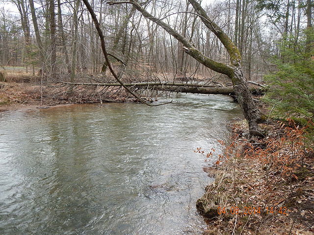 DSCN0455.jpg -                                This is a DH area.  Trash from spinner fishermen was all over the banks.  Tends to ruin a picturesque area.