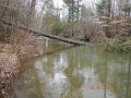 DSCN0447