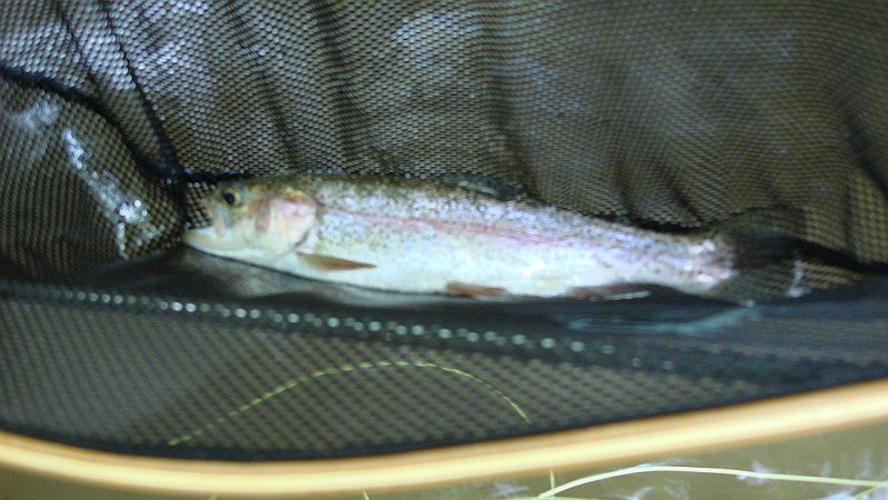 DSC02758.JPG