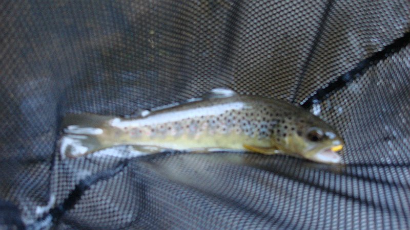 DSC02762.JPG