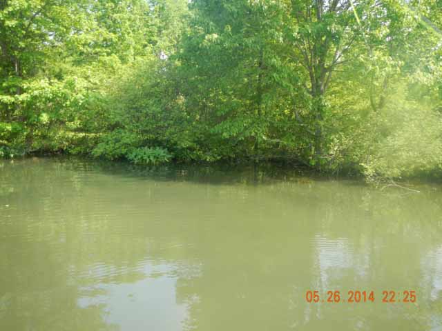 DSCN1000.jpg -                                The lake was still really cloudy and the fish were elusive.
