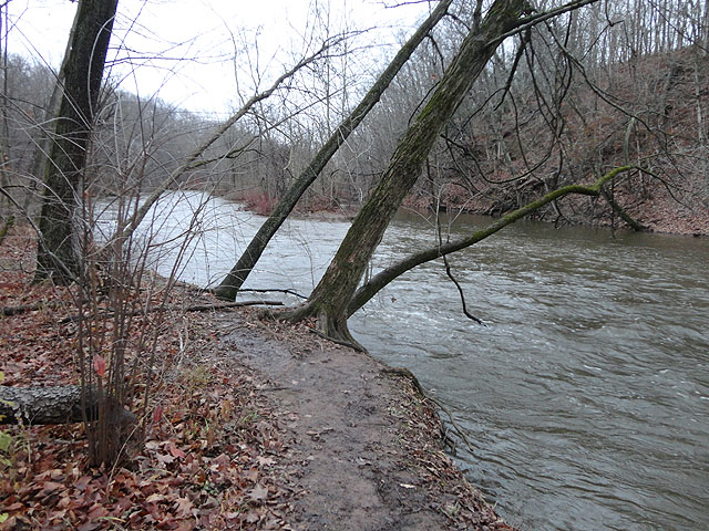 DSC00442.jpg - Up stream from the Sycamore Hold                               