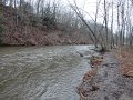 DSC00441