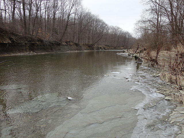 DSC00541.jpg -                                It was cold in Erie...That's shelf ice at the shore line.