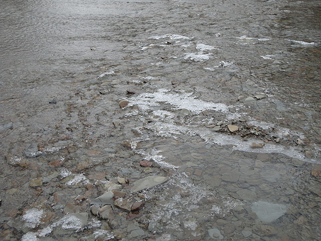 DSC00544.jpg -                                Temps were dropping...ice was forming in the riffles.