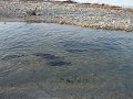 DSC00534