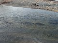 DSC00535
