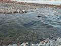 DSC00536