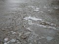 DSC00544