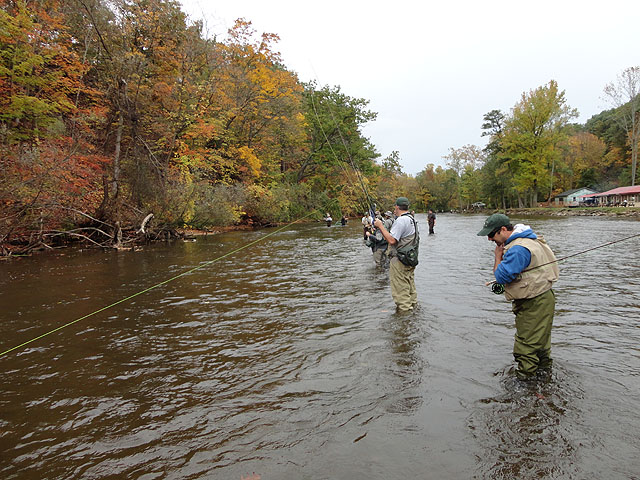 DSC00367.jpg -                                Lot of guys in a straight line in the middle of the creek.