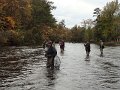 DSC00364