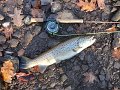 DSC00428