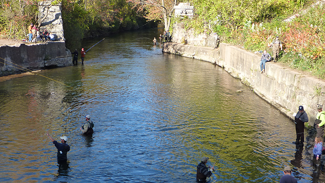 P1000449.JPG