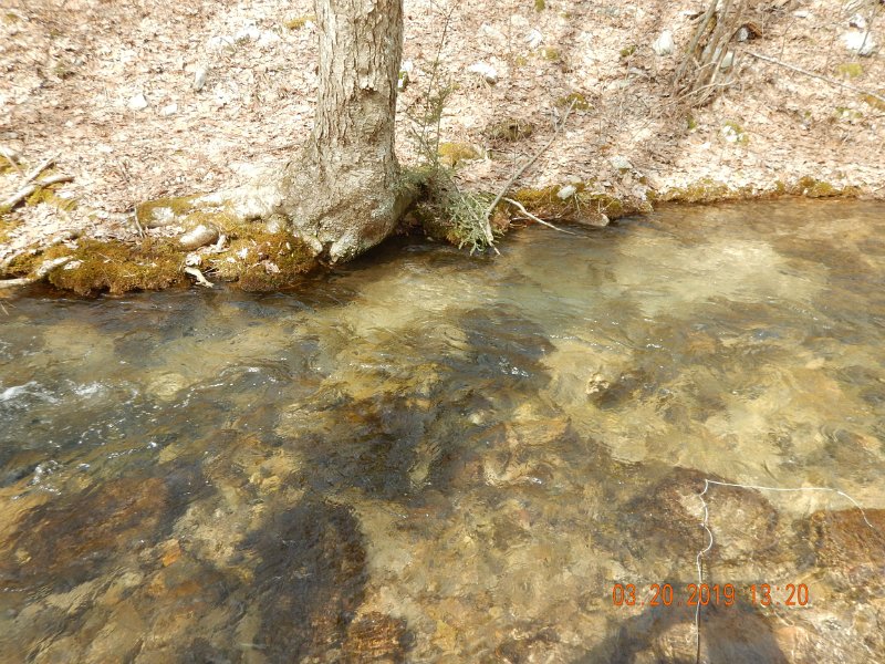 $Patterson1001$.jpg - Here was the pool I got most of the fish....easy to see why.