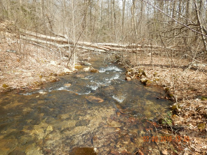 $Patterson1002$.jpg - Downstream look of the stream.  As expected, the stream picks up a bit more water the further downstream you walk.