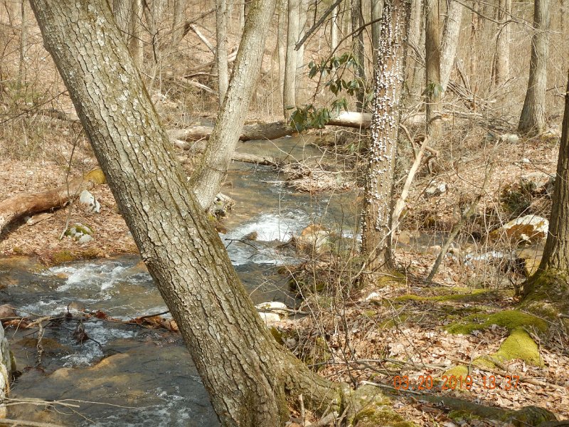 $Patterson1004$.jpg - Another look at the stream...No, not much casting room but is there ever on a real brookie stream?