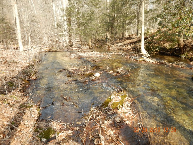 $Patterson1008$.jpg - This was a perfect stream on a perfect day in perfect weather and it was beautiful.  Whether it will remain this way later in the season is anyones guess.