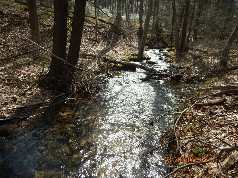 $Patterson1009$.jpg - It is small but it has deeper....not really "deep" holes which hold brook trout.