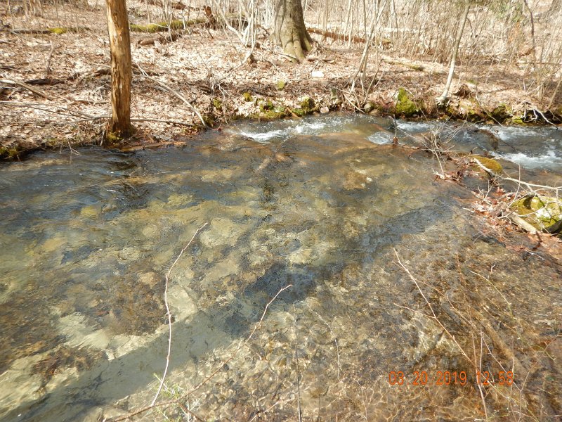 $Patterson1011$.jpg - I'm thinking I'd like to fish this stream when the bugs are coming off.  Bet it would be hugely fun.  Water temp today was in the mid 40's.