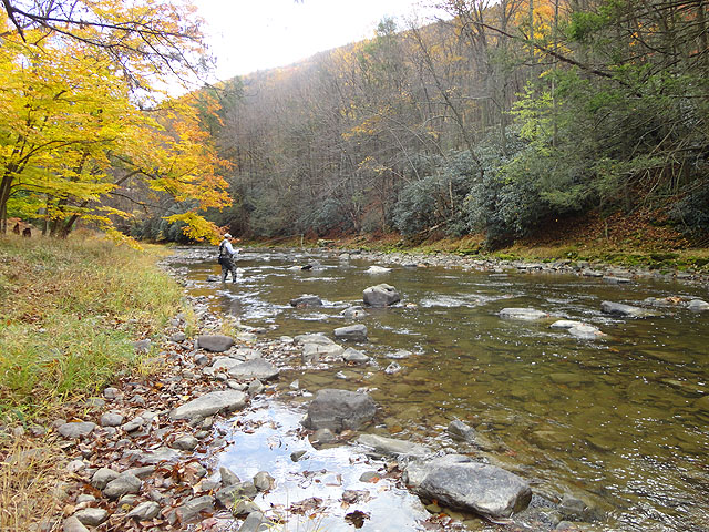 DSC01287.jpg - Gary fishing the skinny water at Penns Creek                               