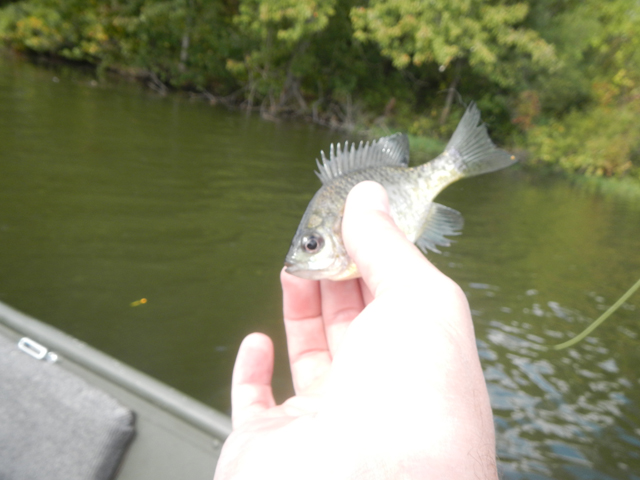 DSCN1672.jpg -                                