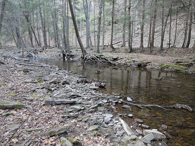 DSC00657.jpg -                                Trout Run Senic 1