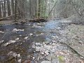DSC00658