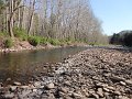 DSC00661