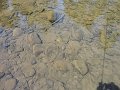 DSC00668