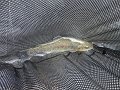 DSC00701