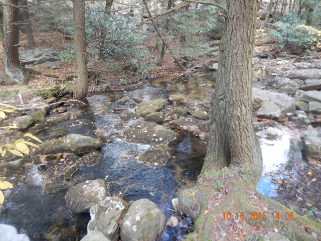 DSCN0716.jpg -                                