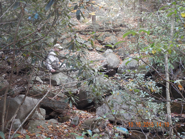 DSCN0717.jpg -                                