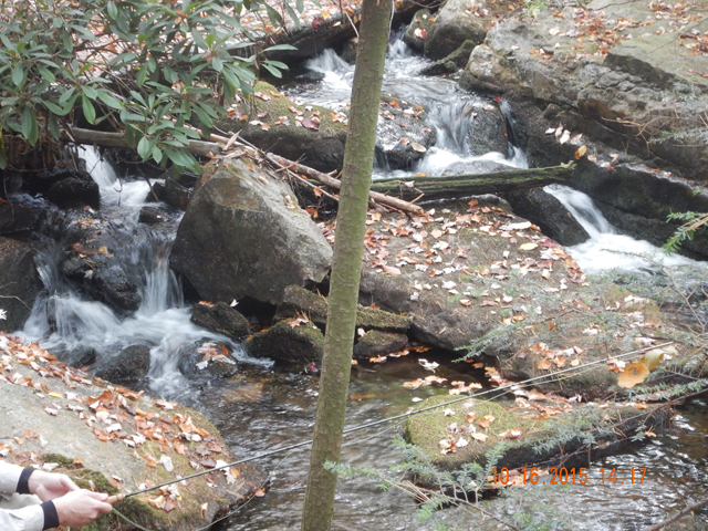 DSCN0721.jpg -                                