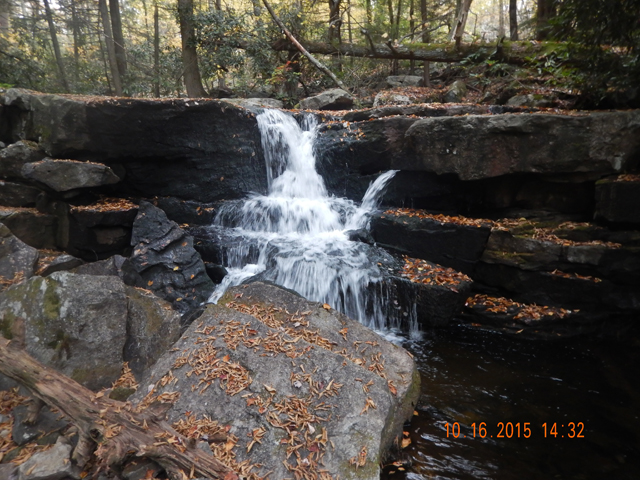 DSCN0726.jpg -                                