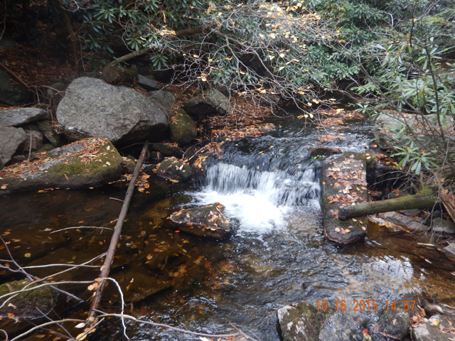 DSCN0728.jpg -                                