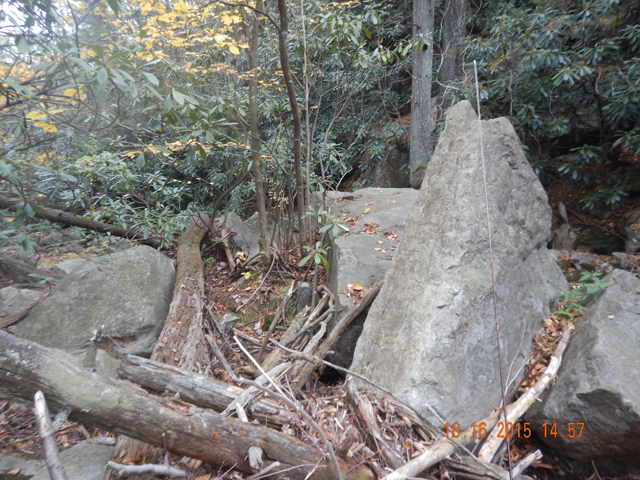 DSCN0729.jpg -                                