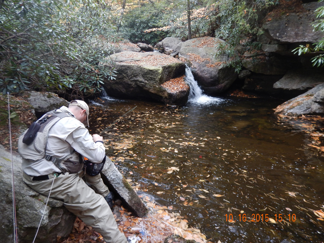 DSCN0731.jpg -                                